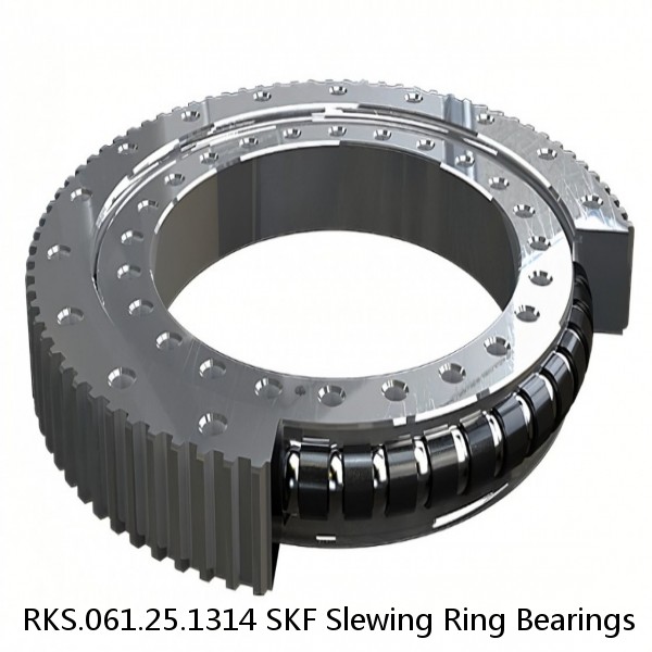 RKS.061.25.1314 SKF Slewing Ring Bearings