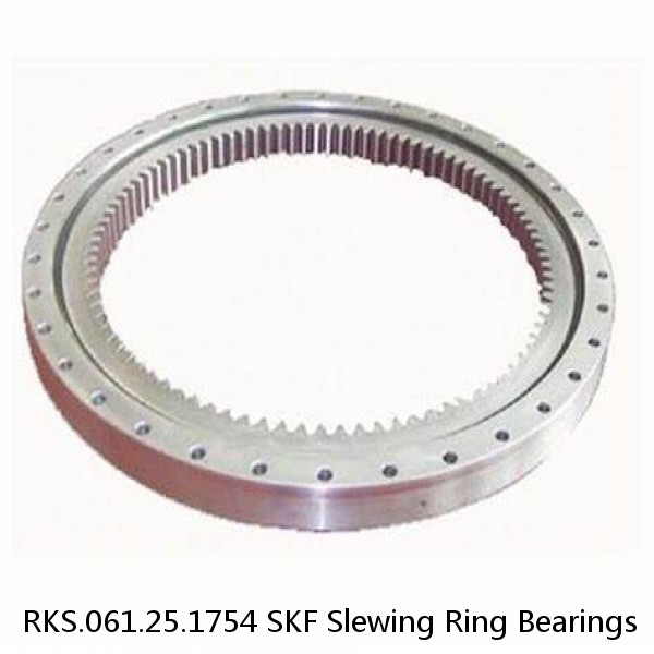 RKS.061.25.1754 SKF Slewing Ring Bearings