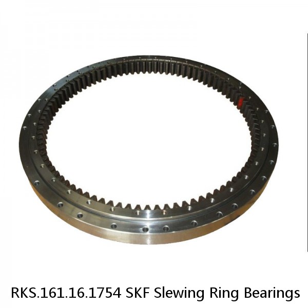 RKS.161.16.1754 SKF Slewing Ring Bearings