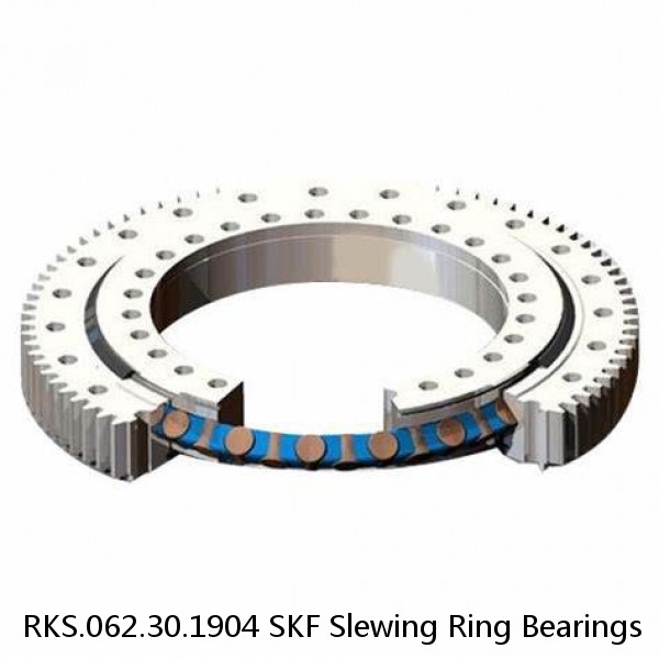 RKS.062.30.1904 SKF Slewing Ring Bearings