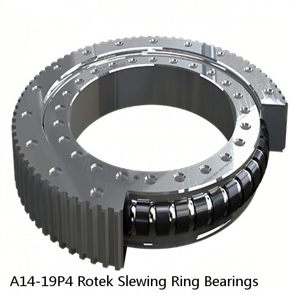 A14-19P4 Rotek Slewing Ring Bearings