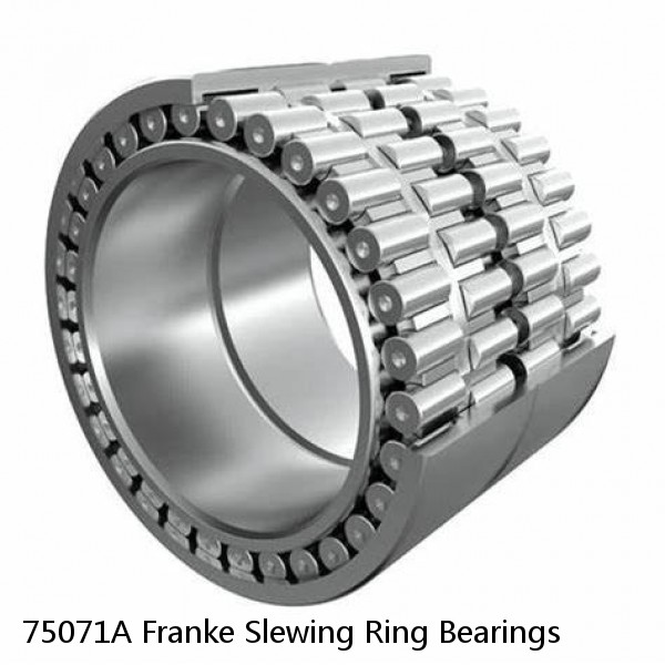 75071A Franke Slewing Ring Bearings #1 small image