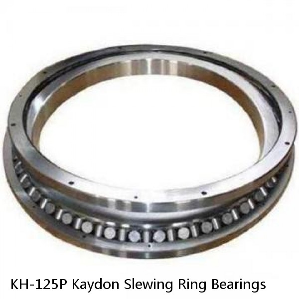 KH-125P Kaydon Slewing Ring Bearings #1 small image