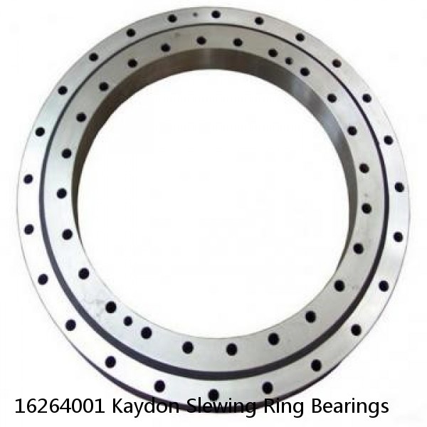 16264001 Kaydon Slewing Ring Bearings #1 small image