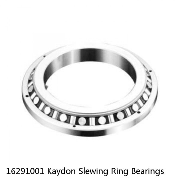16291001 Kaydon Slewing Ring Bearings #1 small image