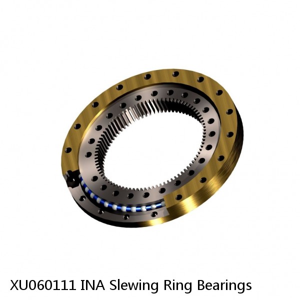 XU060111 INA Slewing Ring Bearings
