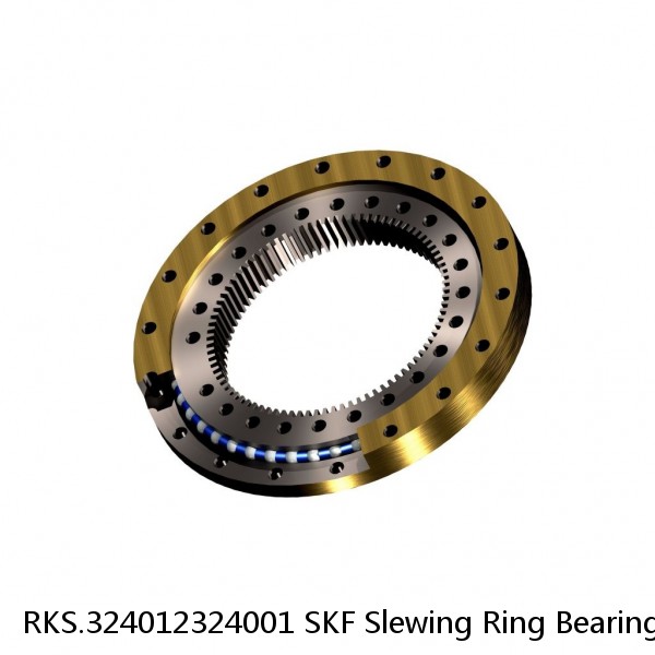 RKS.324012324001 SKF Slewing Ring Bearings #1 small image