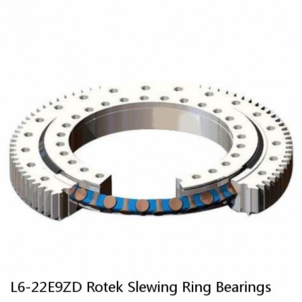 L6-22E9ZD Rotek Slewing Ring Bearings