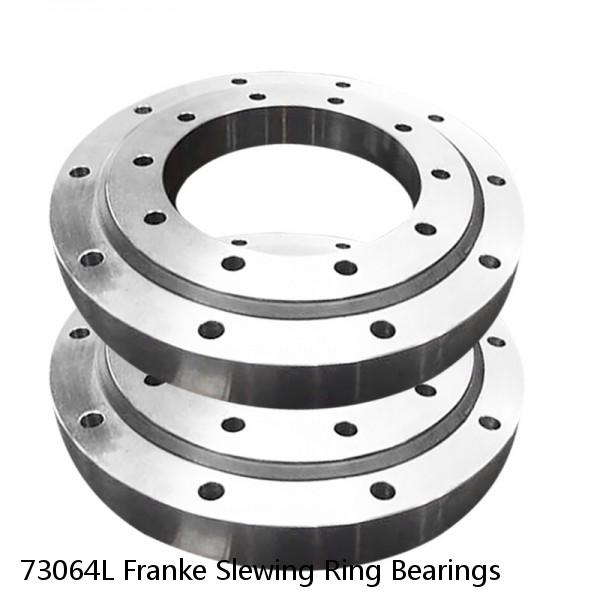 73064L Franke Slewing Ring Bearings #1 image