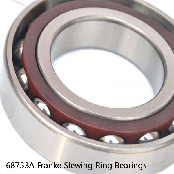 68753A Franke Slewing Ring Bearings #1 image